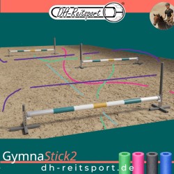 AgileWork coordination training – combination of aluminum cavaletti and slalom pole for the riding arena