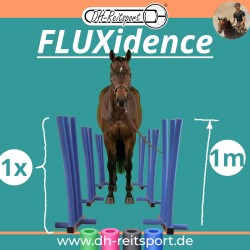 Hest i en træningsgyde bestående af seks blå FLUXidence-elementer.