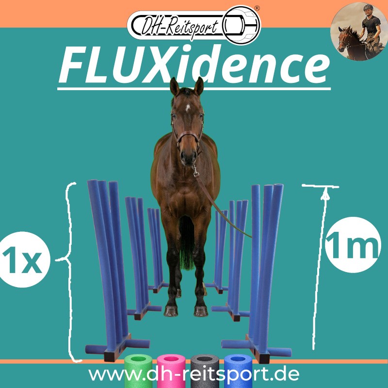 Häst i en träningsgränd av sex blå FLUXidence-element