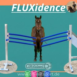 FLUXidence - System für Gelassenheitstraining & Desensibilisierung