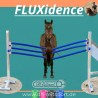 Two FLUXidence elements mounted on jump standards as a "confidence gate"; a horse is led through to build trust.