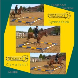 Fliegender Galoppwechsel durch das mit GymnaSticks aufgebaute Stangenviereck