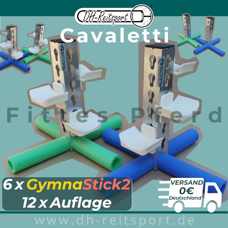 Fit Horse - 6 GymnaSticks, 12 Pole Pads