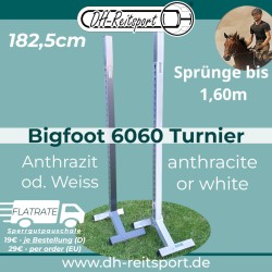 Bigfoot 6060 – Tournament