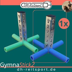 GymnaStick2...